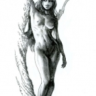 Dryad-MGay