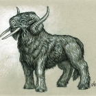 Thundrom